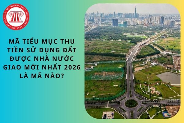 Pháp luật
