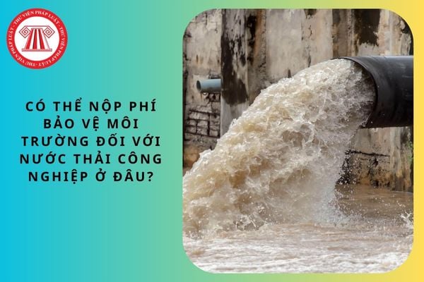 Pháp luật