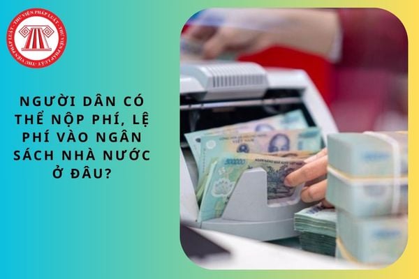 Pháp luật