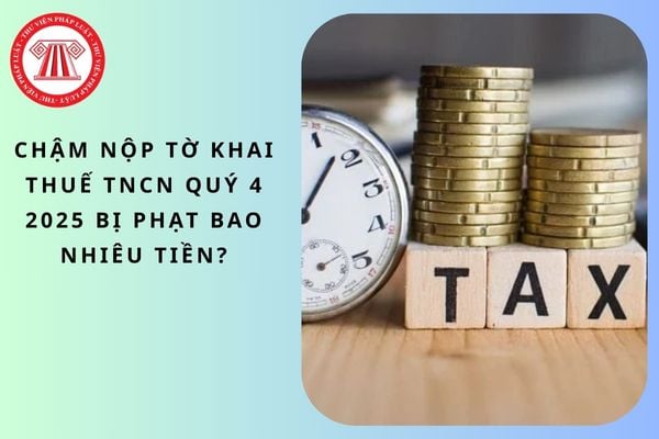 Pháp luật