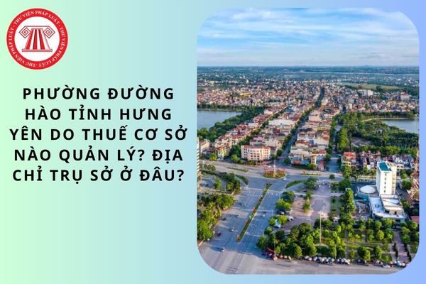 Pháp luật