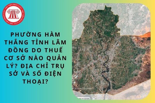 Pháp luật