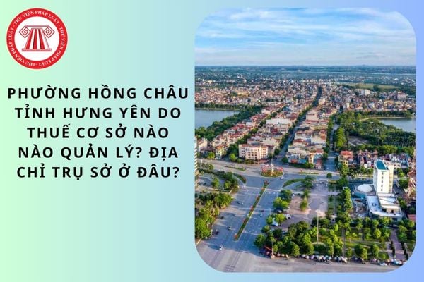 Pháp luật