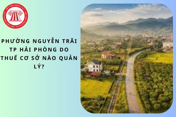Pháp luật