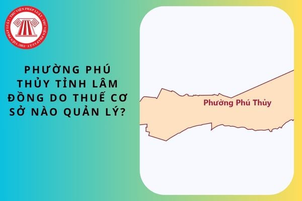 Pháp luật