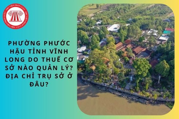 Pháp luật
