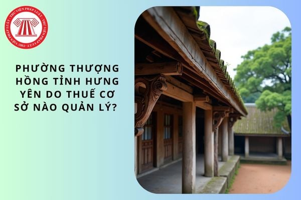 Pháp luật