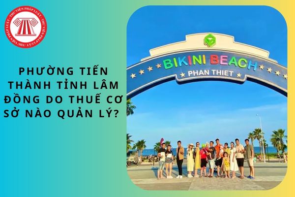 Pháp luật