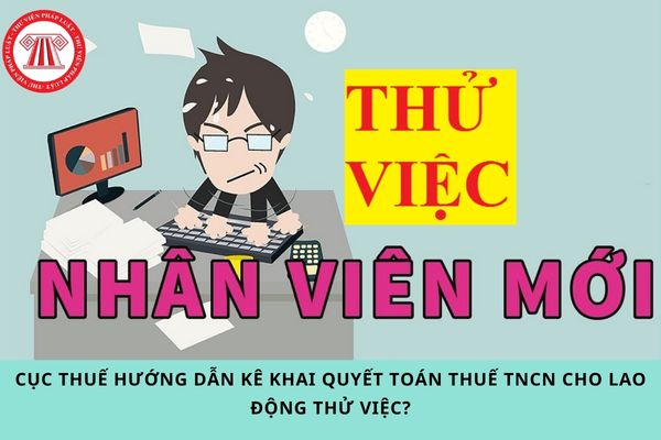 Cục thuế hướng dẫn kê khai quyết toán thuế TNCN cho lao động thử việc?