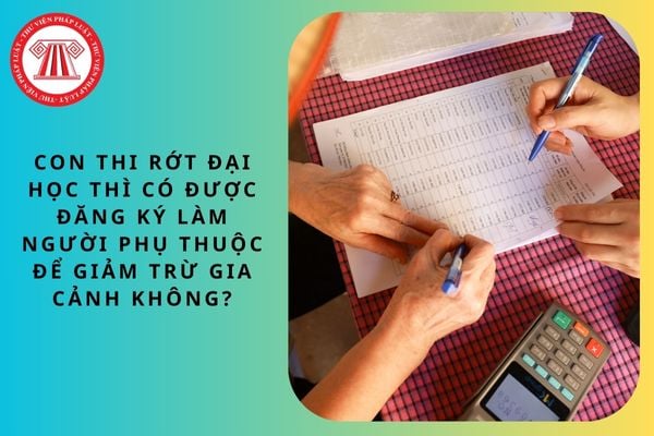 Pháp luật
