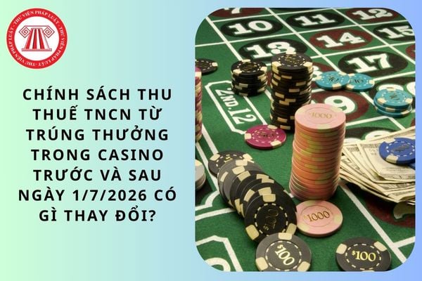 Pháp luật