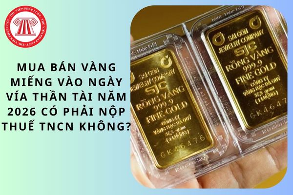Pháp luật