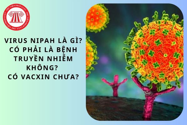 Pháp luật