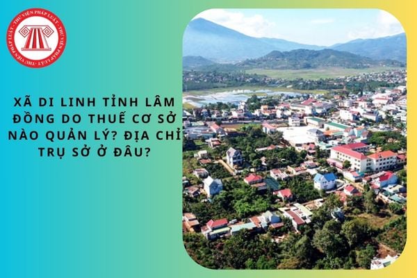 Pháp luật