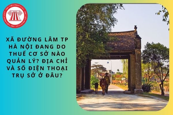 Pháp luật