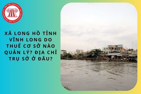 Pháp luật