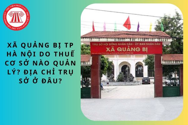 Pháp luật