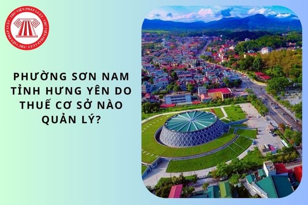 Pháp luật