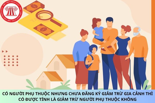 Pháp luật