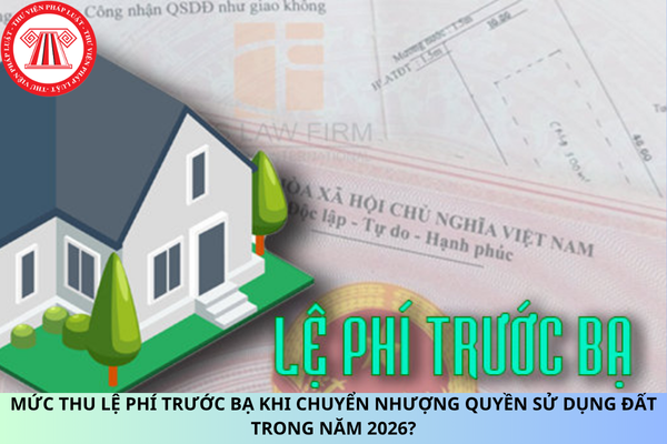 Pháp luật