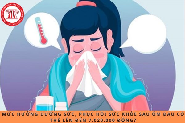 Pháp luật