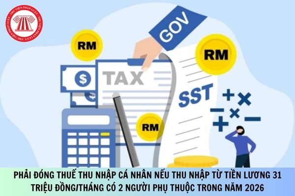 Pháp luật