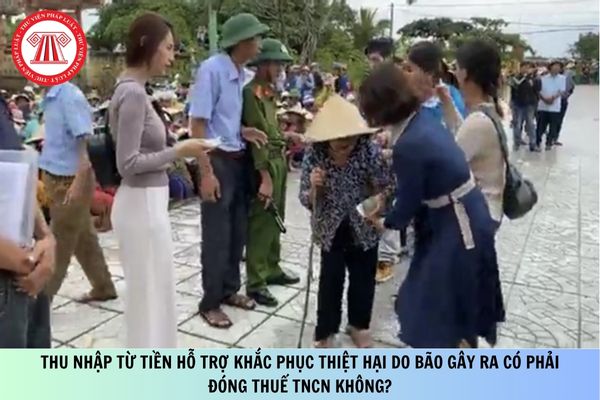 Pháp luật