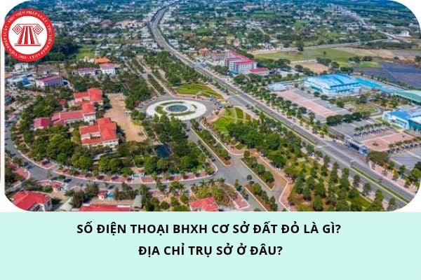 Pháp luật