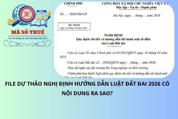 Pháp luật