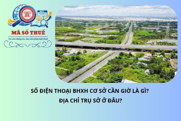 Pháp luật