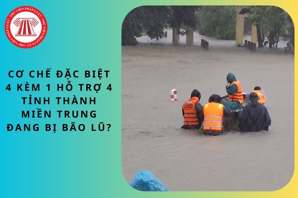 Pháp luật