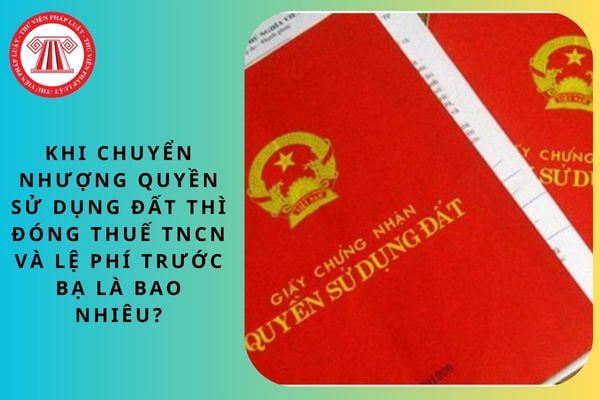 Pháp luật