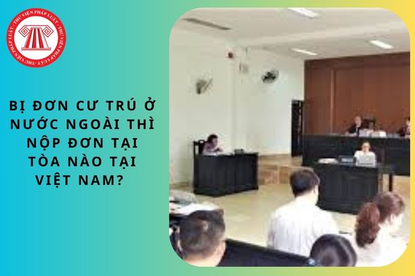 Pháp luật