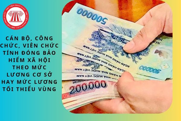 Pháp luật