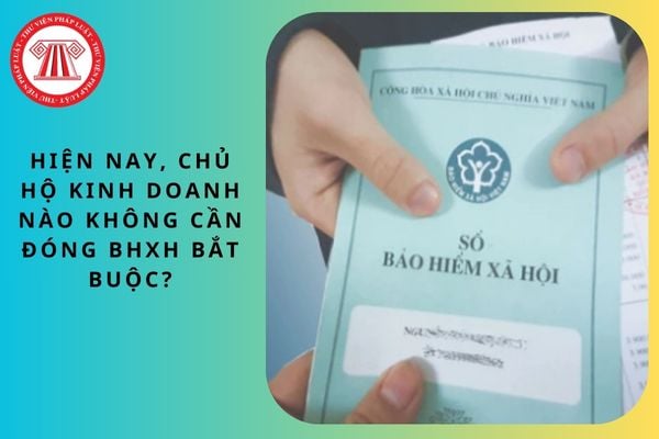 Hiện nay, chủ hộ kinh doanh nào không cần đóng BHXH bắt buộc?