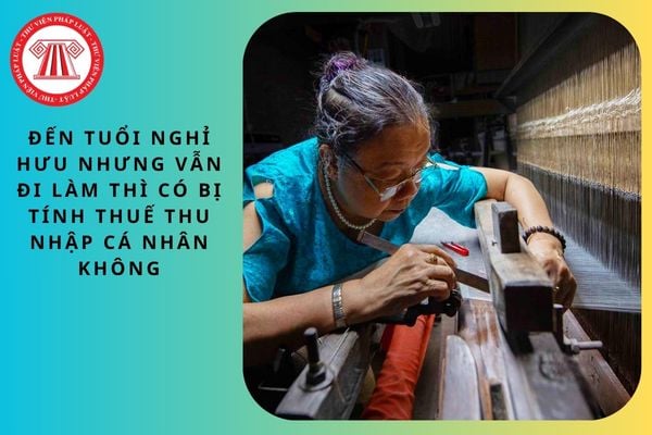 Pháp luật
