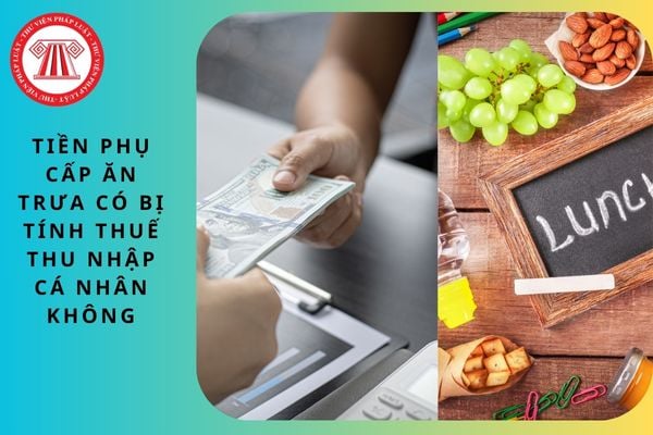 Pháp luật