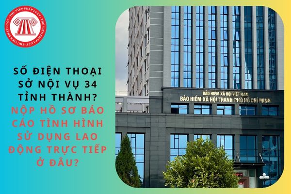 Pháp luật