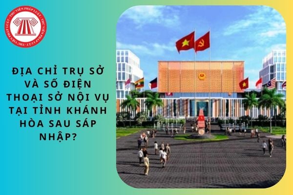 Pháp luật