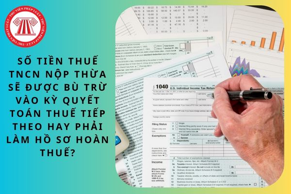 Pháp luật
