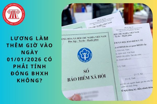 Lao Động Tiền Lương