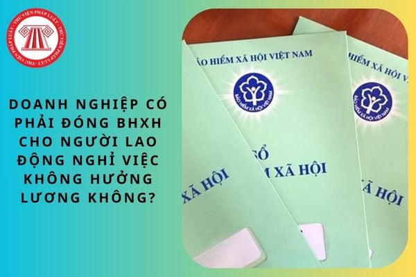 Pháp luật