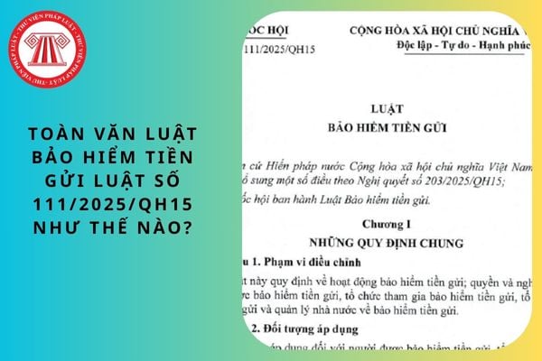 Pháp luật