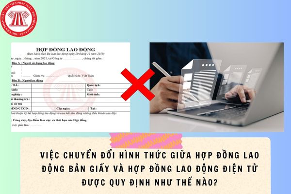 Pháp luật