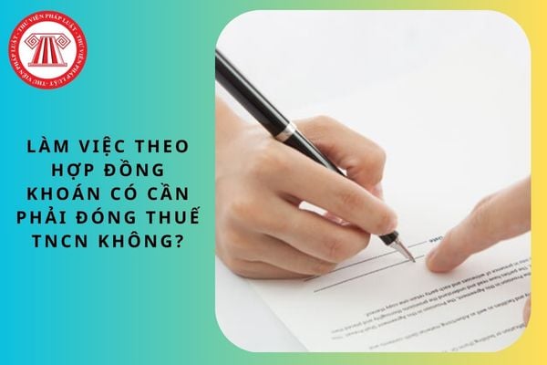 Pháp luật
