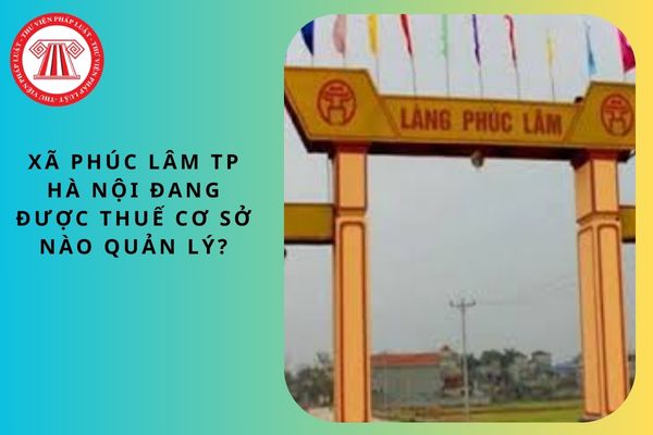 Pháp luật