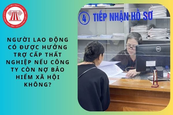 Pháp luật