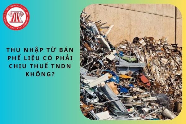 Pháp luật
