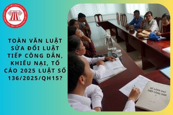 Pháp luật