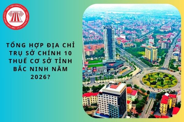 Pháp luật